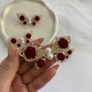 گیره فرانسه پروانهfr5